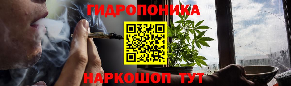 МАРИХУАНА OG Kush Шахты